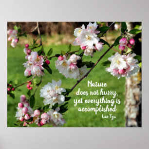 Poster A Natureza Não Apressa A Citação Inspiracional