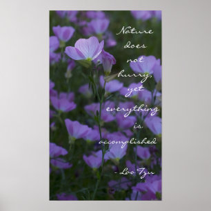 Póster "A natureza não se apressa"