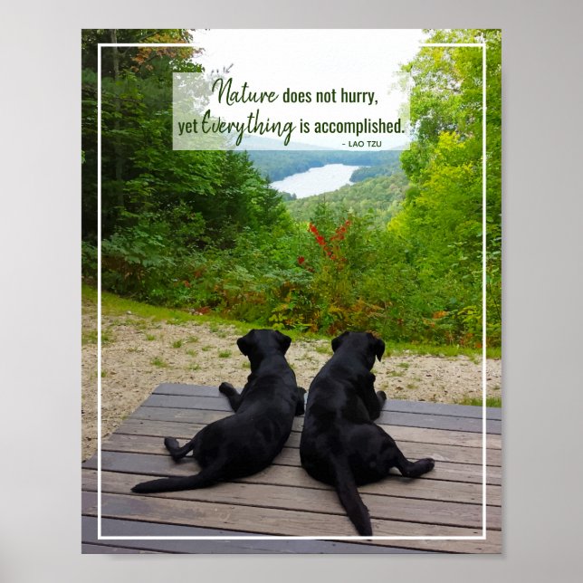 Poster A Natureza Não Se Apressa - Citação Inspirativa Da (Frente)