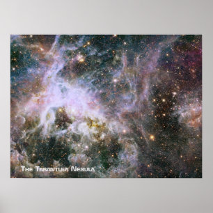 Póster A nebulosa do Tarantula - quadro 4 com título