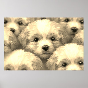 Poster A Ninhada de Cachorrinhos Loirinhos em uma Parede