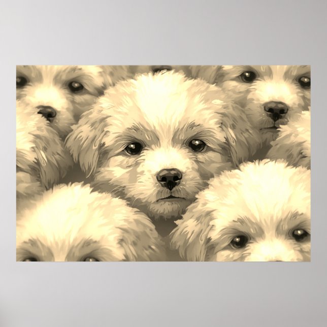 Poster A Ninhada de Cachorrinhos Loirinhos em uma Parede (Frente)