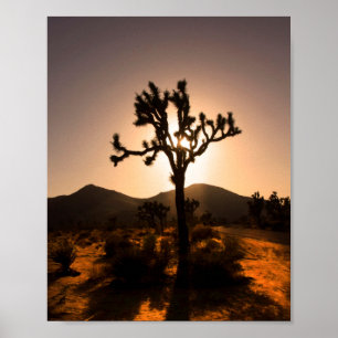Poster A noite começa em Joshua Tree