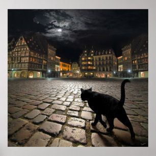 Poster A noite de Strasbourg