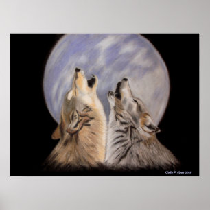 Poster A noite urra (os lobos)