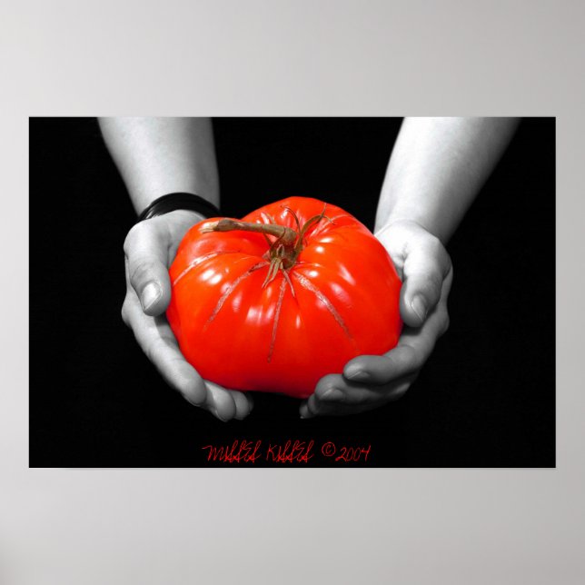 PÓSTER A OFERTA EM VERMELHO (Frente)