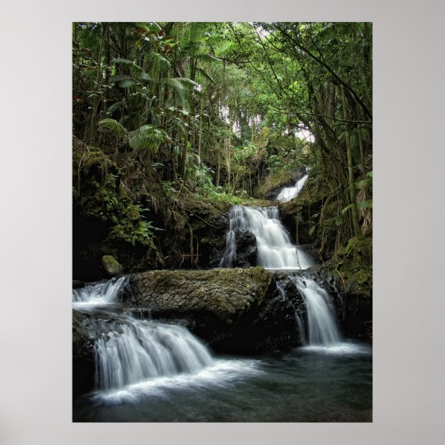 PÓSTER A ONOMA DE HAWAII CAI (Frente)