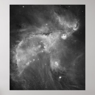 Póster A opinião preto e branco de Hubble do universo