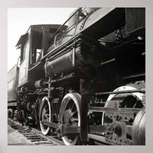 Poster A opinião velha do fim 208