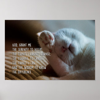 Poster A Oração da Serenidade Dormindo Gato Pacífico