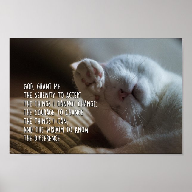Poster A Oração da Serenidade Dormindo Gato Pacífico (Frente)