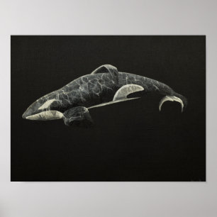 Póster A orca