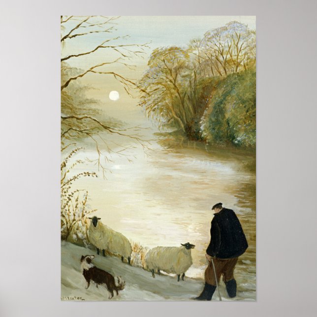 Póster A Ovelha Estranha (Frente)