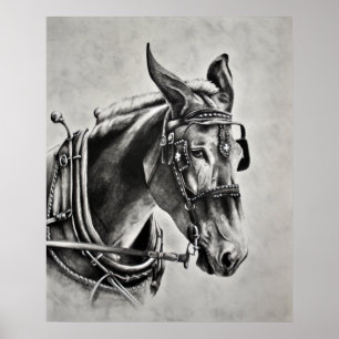 Póster A paciência é uma virtude