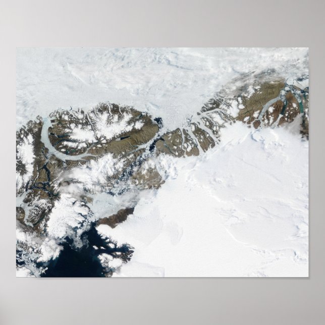 Póster A palha de verão (Frente)