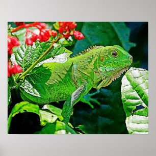 Poster A parede da arte da iguana para decora