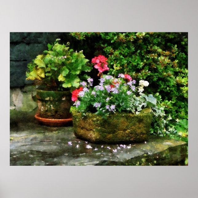 Póster A PARTIR DE 20 DÓLARES - Alemães e Flores de Lavan (Frente)