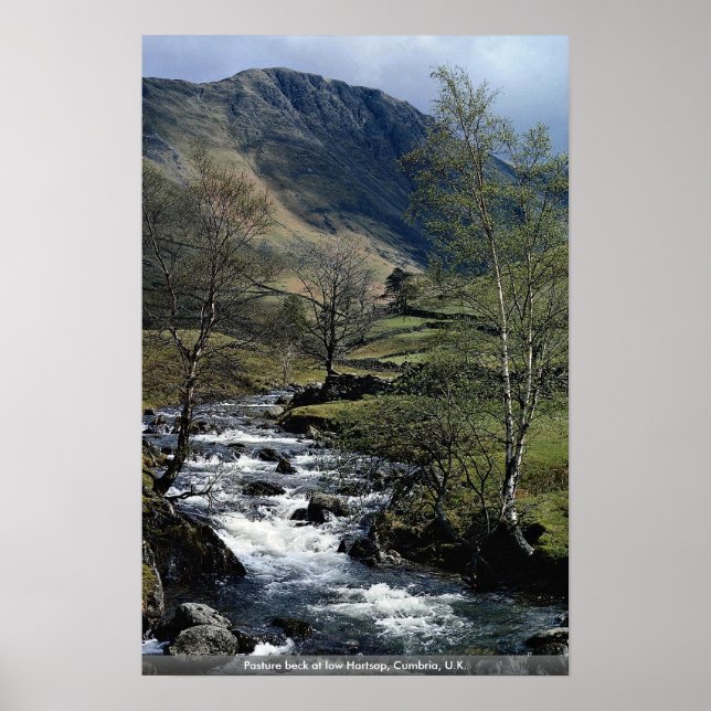 Poster A pastagem acenou no baixo Hartsop, Cumbria, Reino (Frente)