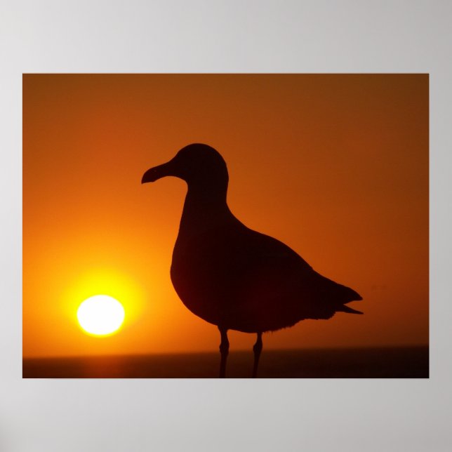 Póster A paz continua. (Frente)