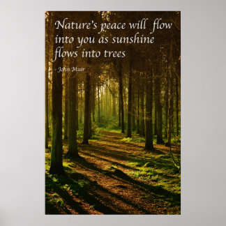 Poster A paz da natureza fluirá para a sua citação J Muir