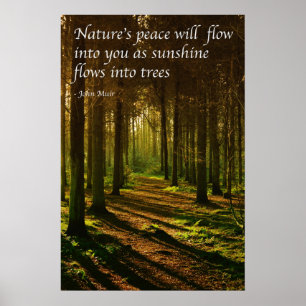 Poster 'A paz da natureza fluirá para você' citação J Mui
