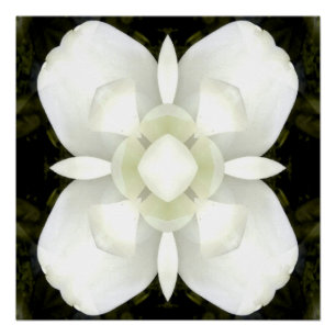 Póster A paz esteja contigo...