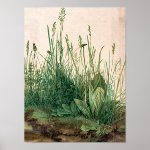 Poster A peça Excelente de Turf, 1503 por Albrecht Durer