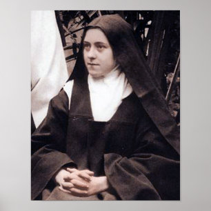 Póster A Pequena Flor