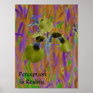 Póster A percepção é Poster-Íris da realidade