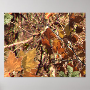 Póster A pintura de Camo Camouflage de Hunter Personaliza