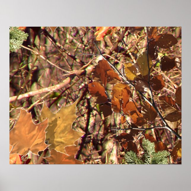 Póster A pintura de Camo Camouflage de Hunter Personaliza (Frente)