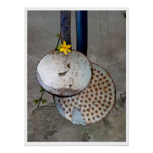 Póster A poesia das coisas esquecidas