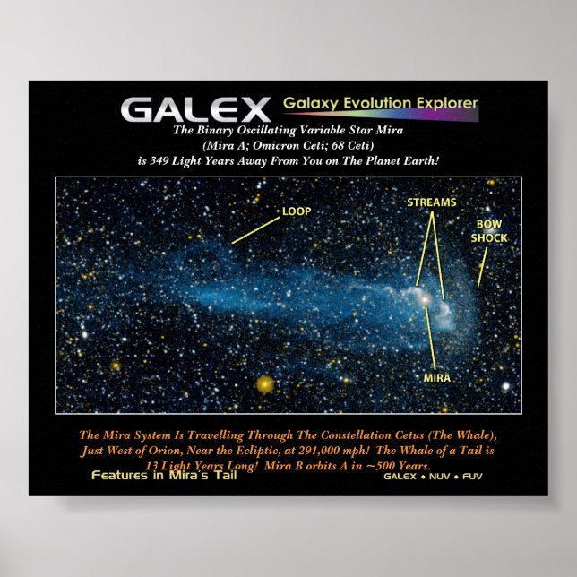 Póster A Pormenorizada Mira Estelar com Cauda, Os Binário (Frente)