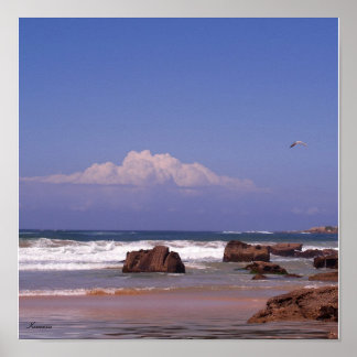 Poster A Praia e Você