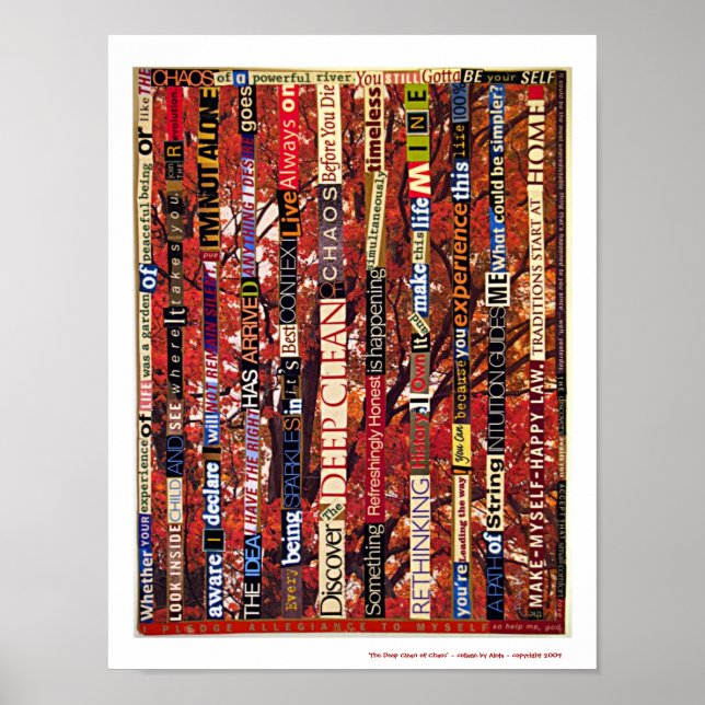 Poster A Profunda Limpeza do Caos (Frente)