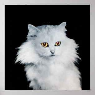 POSTER A RAINHA DOS GATOS BRANCOS