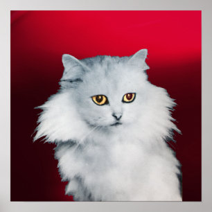 Poster A RAINHA DOS GATOS BRANCOS ,Bordô Vermelho