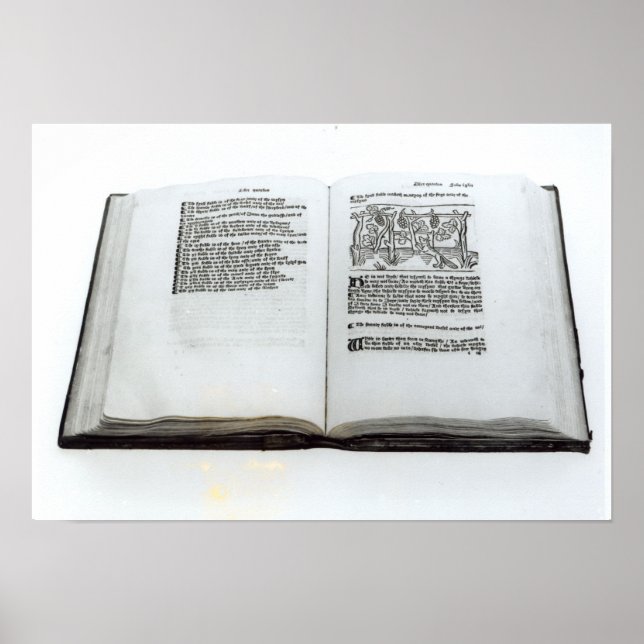 Póster A Raposa e as Uvas (Frente)