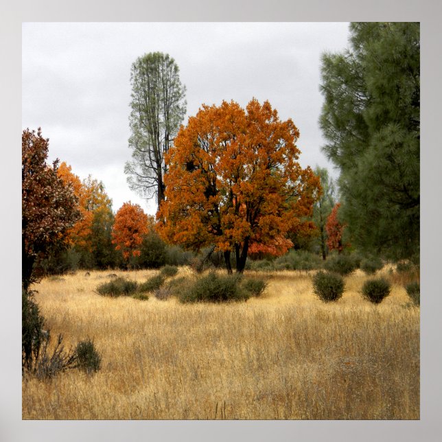 Poster A Reunião... (Frente)