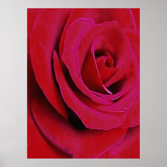 POSTER A ROSA VERMELHA      (Frente)