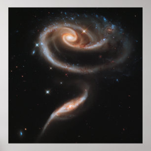 Póster A Rose Made of Galaxies, ARP 273 [Print]