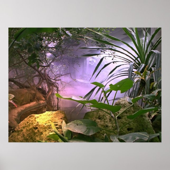 Poster A selva (Frente)