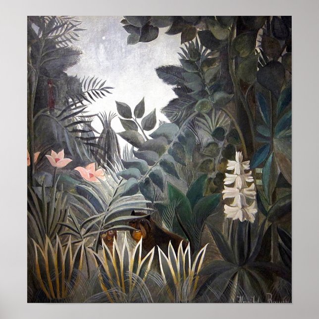 Poster A selva equatorial (Frente)