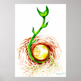 Poster A semente da vida