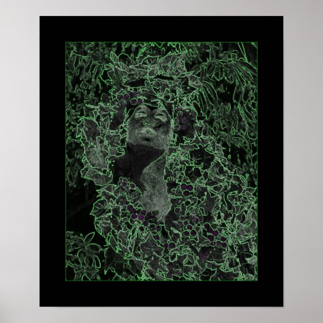 Póster A Senhora da Floresta (Frente)