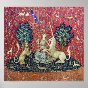 Poster A Senhora e o Unicórnio, Visão