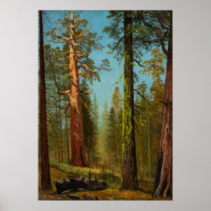 Poster A sequóia gigante Grizzly Giant, pintura famosa