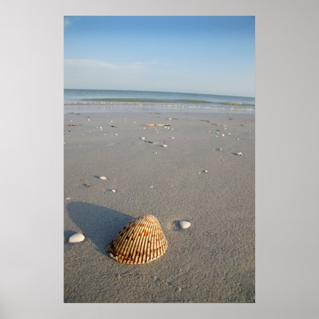 Póster A Shell (Frente)