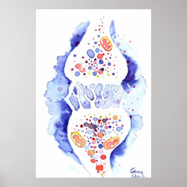 Poster A sinapse e o impulso nervoso