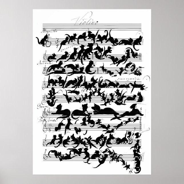 Poster A Sinfonia do Vetor de Gato (Frente)